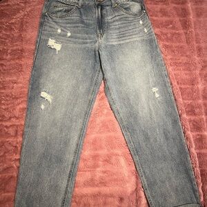 Sincerely Jules Relaxed Fit Distressed Gray Jeans